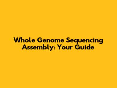 Whole Genome Sequencing Assembly: Your Guide